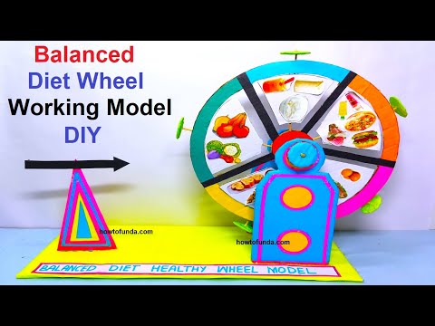 Food Pyramid Working Model 3d Making Science Project DIY HowToFunda