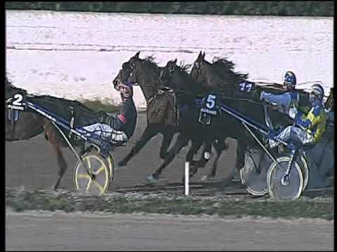 Trotto 22/12/2015 - 3° corsa