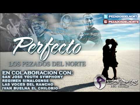 PERFECTO - LOS PEZADOS DEL NORTE (ESTUDIO 2012) VERSION POP