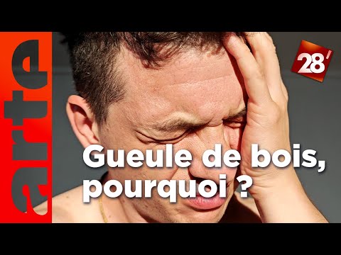 Intéressant : Pourquoi l’alcool fait-il mal à la tête ? | 28 minutes | ARTE