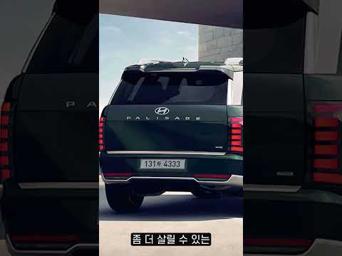 팰리세이드 트렁크 번호판 어때????