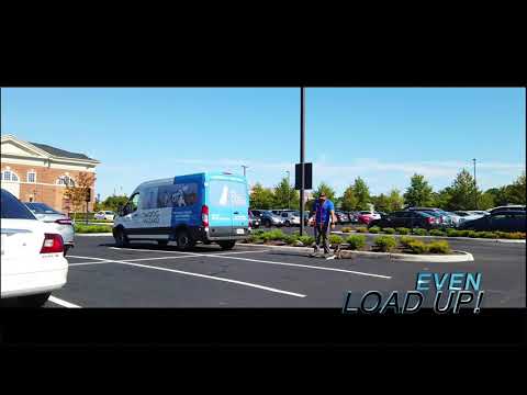 The Dog Wizard video.