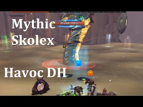 Business Class vs Mythic Skolex - Havoc DH PoV