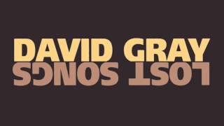 David Gray - "January Rain (Instrumental)"
