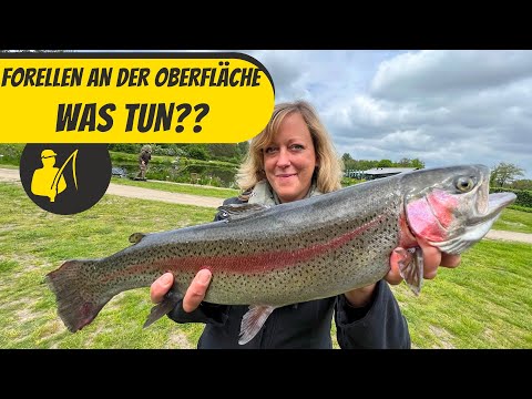 Forellen an der Oberfläche - was soll ich tun??