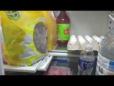 The Cat's Snack | Tom the Hand Shorts