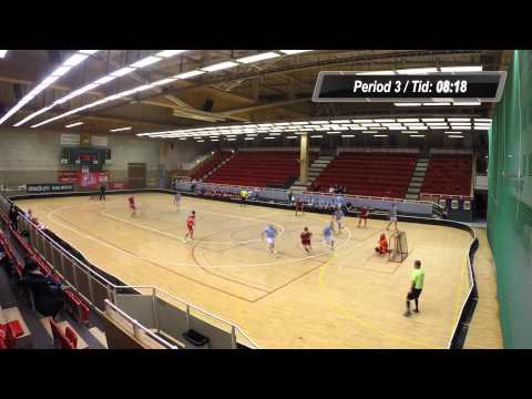 Backadalen Lions - Landvetter Wings (12-8)