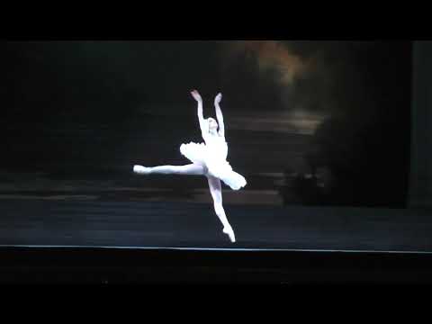 Dorothée Gilbert - Odette's solo (Act II) - Swan Lake/Le Lac des cygnes (Choreography : Noureev)