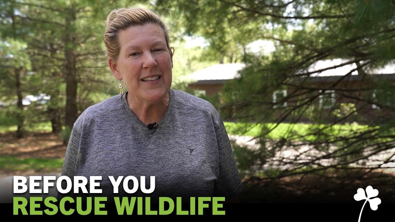 Dublin's Backyard with Barbara Ray: Baby Animals