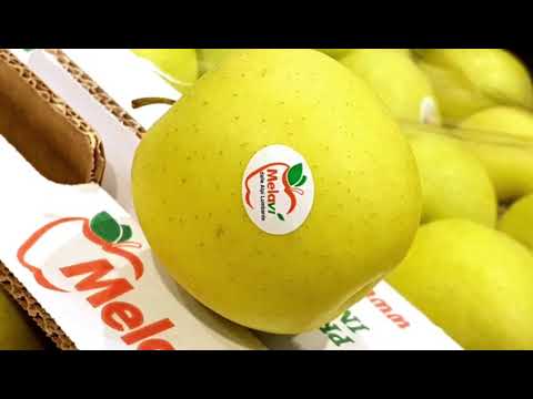 Game Festival OrtoQui: l'Ipercoop di Cantù in festa con Melavì!