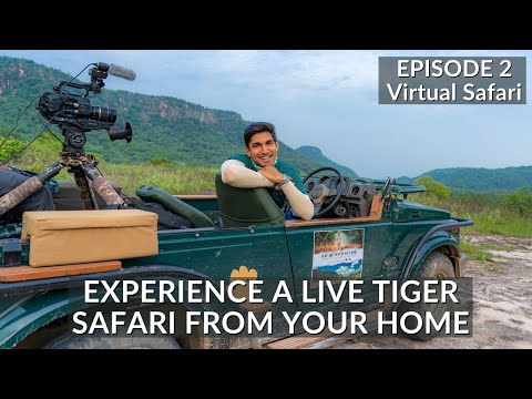 INDIA’S FIRST VIRTUAL SAFARI - EP2 | TIGER SAFARI LIVE |BANDHAVGARH NATIONAL PARK