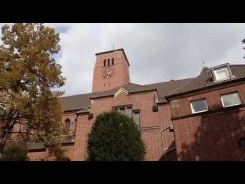 Holweide in Motion 2