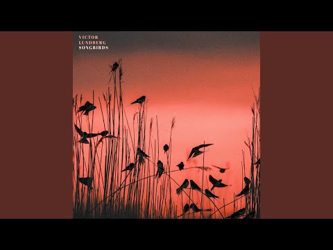 Songbirds