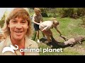 Best Moments From Early Seasons The Crocodile Hunter Animal Planet