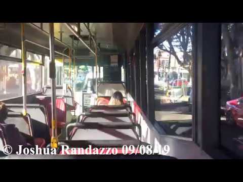 Nice ZF - Punchbowl Bus Co. m/o 7240 - Scania L113CRL