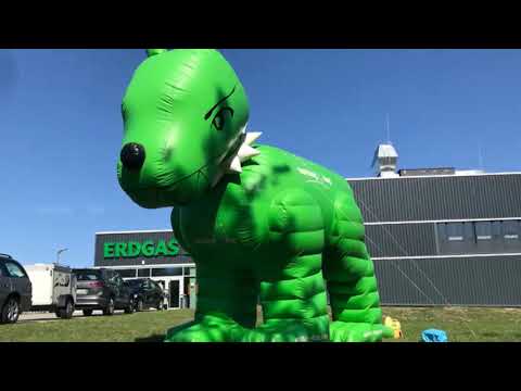 SV Bundessiegerprüfung der Film