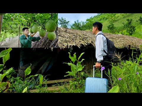 Full video Trieu Ba I Building a Life From the Green Forest.