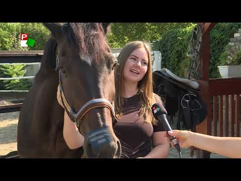 Vajdasági Futam –  Törökkanizsa