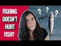 Can fish feel pain?? Here's what SCIENCE tells us...