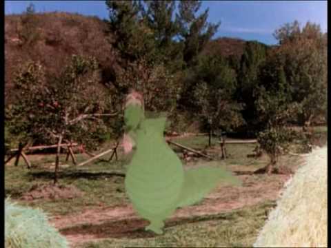 Peter et Elliot le dragon - Je t'aime beaucoup