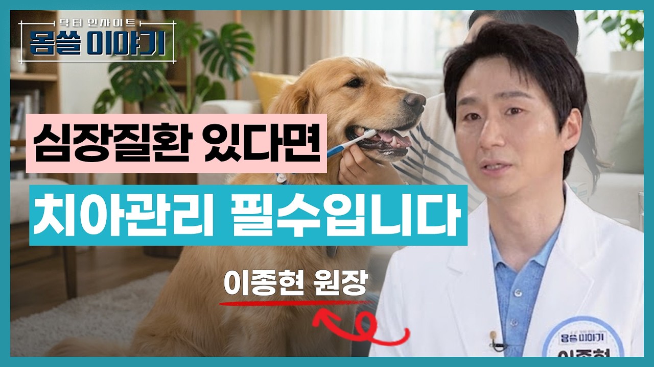 강아지 치석이 심장까지 간다고요? 치주염과 심장질환의 관계 [몸쓸이야기 20회]