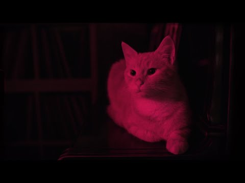 Stūrī Zēvele - Labvakar