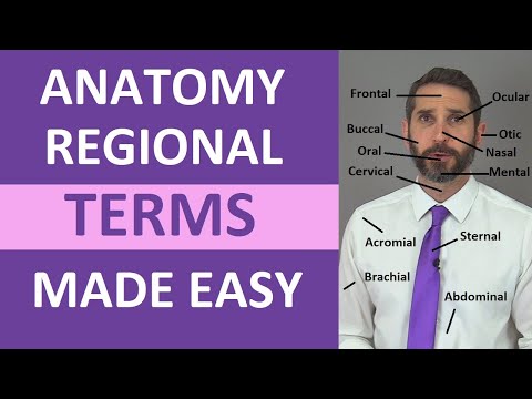 Regional Terms Anatomy - Body Parts Name | Nursing Medical Terminology Made Easy