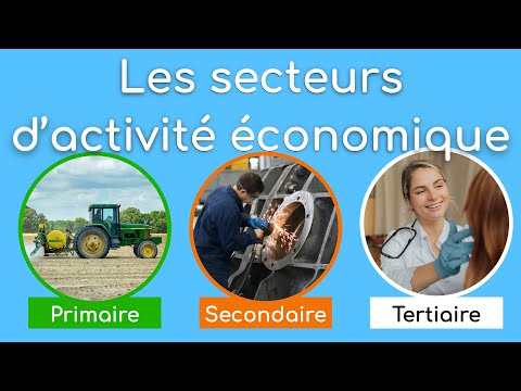 Les secteurs d'activité économique