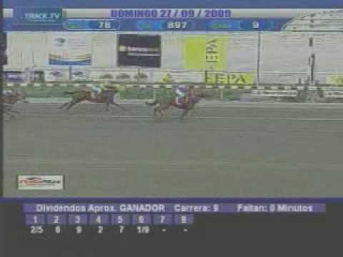 Resumen domingo 27 de Septiembre La Rinconada