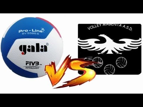 Pallavolo Pavia - Volley Magenta