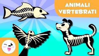 ANIMALI VERTEBRATI per bambini - Mammiferi, uccelli, rettili, pesci e anfibi