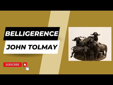 Belligerence by John Tolmay