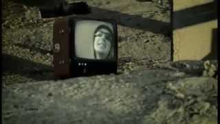 Paper Trail - Gravity &amp; Co.