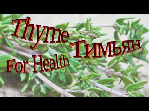 , title : 'Полезная специя / Что лечит Тимьян / Thyme as Folk remedy / Useful spice / What Thyme Cures