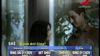 Download Lagu She Apalah Arti Cinta Mp3 4 20 Mb Downloadlagu