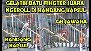 Download lagu LOMBA KICAU GELATIK BATU - AKSI HISTERIS GELATIK BATU DI KANDANG KAPSUL / BULAT - NGEROL TAK JEDA mp3 Download lagu LOMBA KICAU GELATIK BATU - AKSI HISTERIS GELATIK BATU DI KANDANG KAPSUL / BULAT - NGEROL TAK JEDA mp3