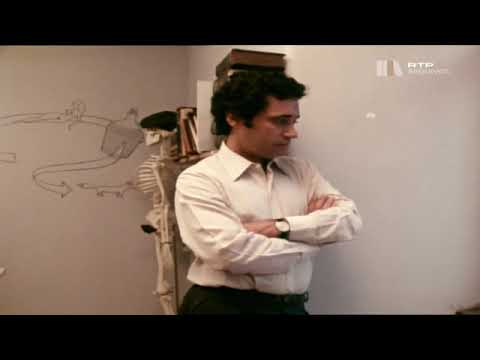 Retalhos da Vida de Um Medico E02 WEBRip