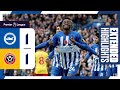 Extended PL Highlights: Brighton 1 Sheffield United 1