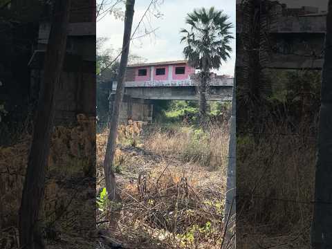 Casa IMPOSSÍVEL? 🤯 Em São Luís do Curu (CE) Ela Fica no Meio de Trilhos e em Cima de Ponte!