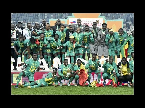 Bougherra 'disappointed' after Algeria lose to Senegal in CHAN final