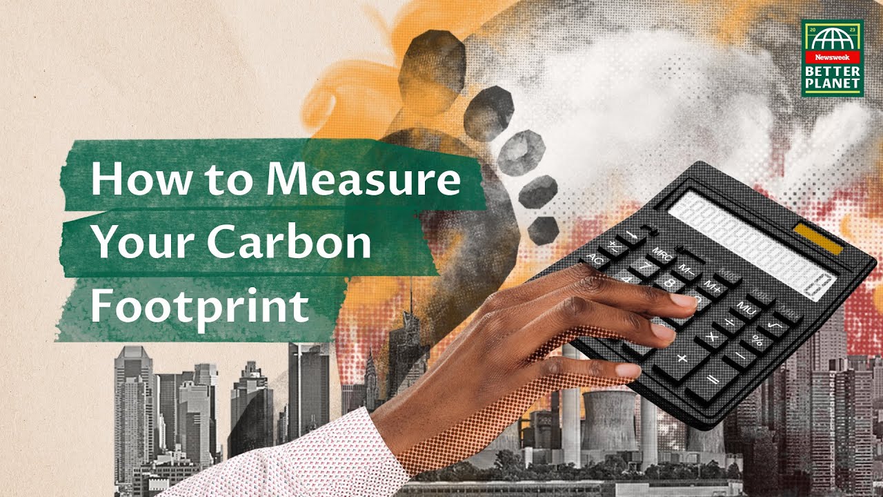 How to Calculate Your Carbon Footprint