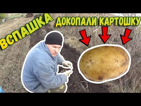 🚜Вспашка // Докопали картошку)) // Жизнь в деревне // Семья в деревне