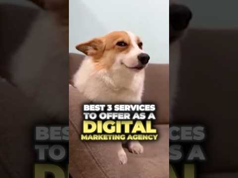 What services do digital marketing agencies offer?