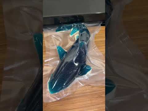 World’s largest gummy shark #shorts