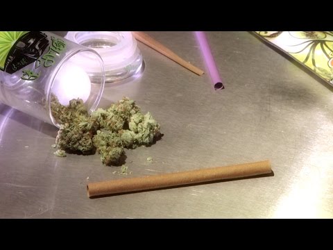 How to Roll Cannabis With a Blunt Wrap Marijuana Tips & Tricks: Cannabasics #1