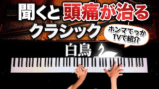 Download lagu 【A classic that cures headaches when you hear it】The Swan - Saint-Saëns - Classic piano - CANACANA mp3