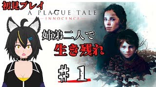 【Vtuber】A Plague Tale: Innocence 初見プレイ!
