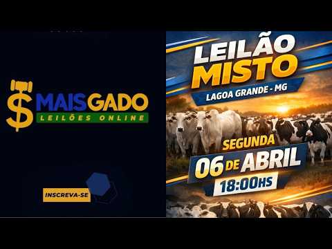 🐂🐄🐃 LEILÃO MISTO DE BOVINOS - LAGOA GRANDE/MG - MAIS GADO LEILÕES 🐂🐄🐃