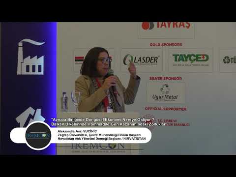 4. IREMCON-ALEKSANDRA ANIC VUCINIC