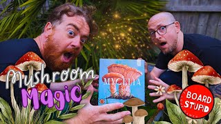 Board Stupid - Mycelia video thumbnail